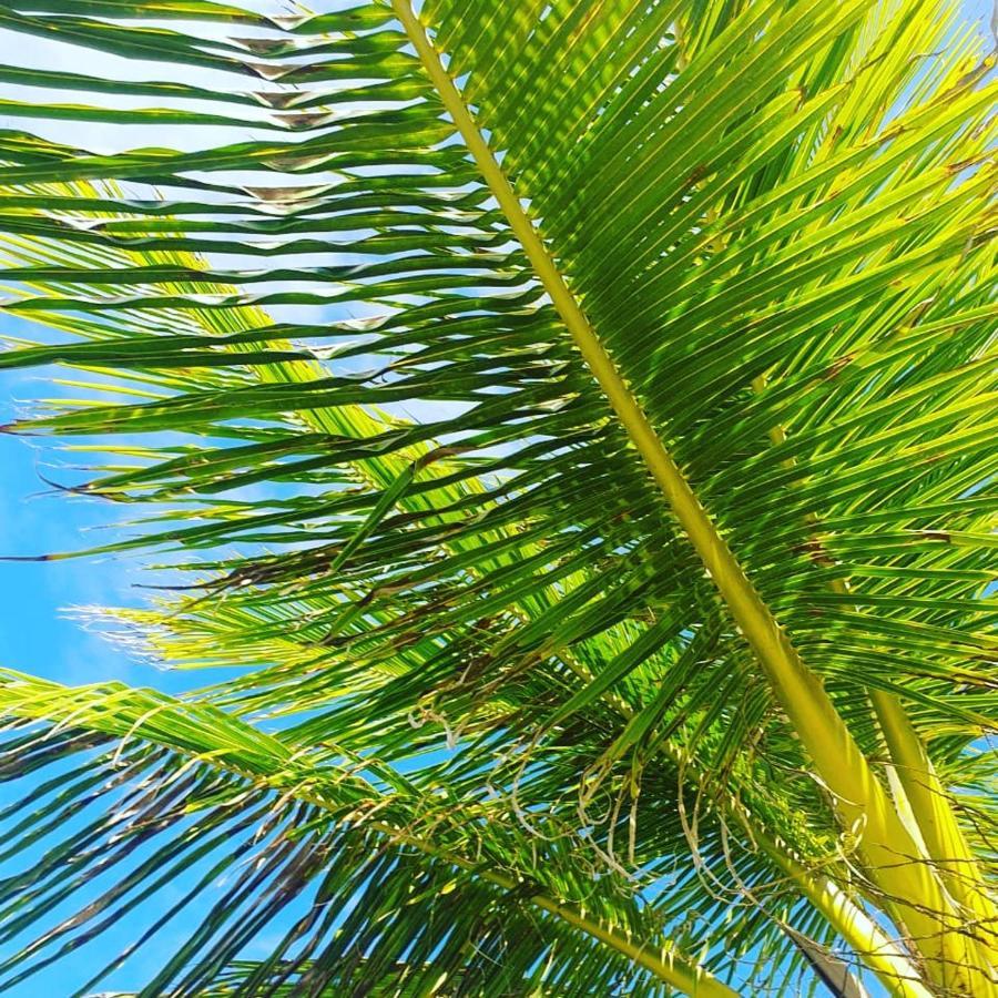 Praia De Itacimirim, Pé Na Areia Extérieur photo