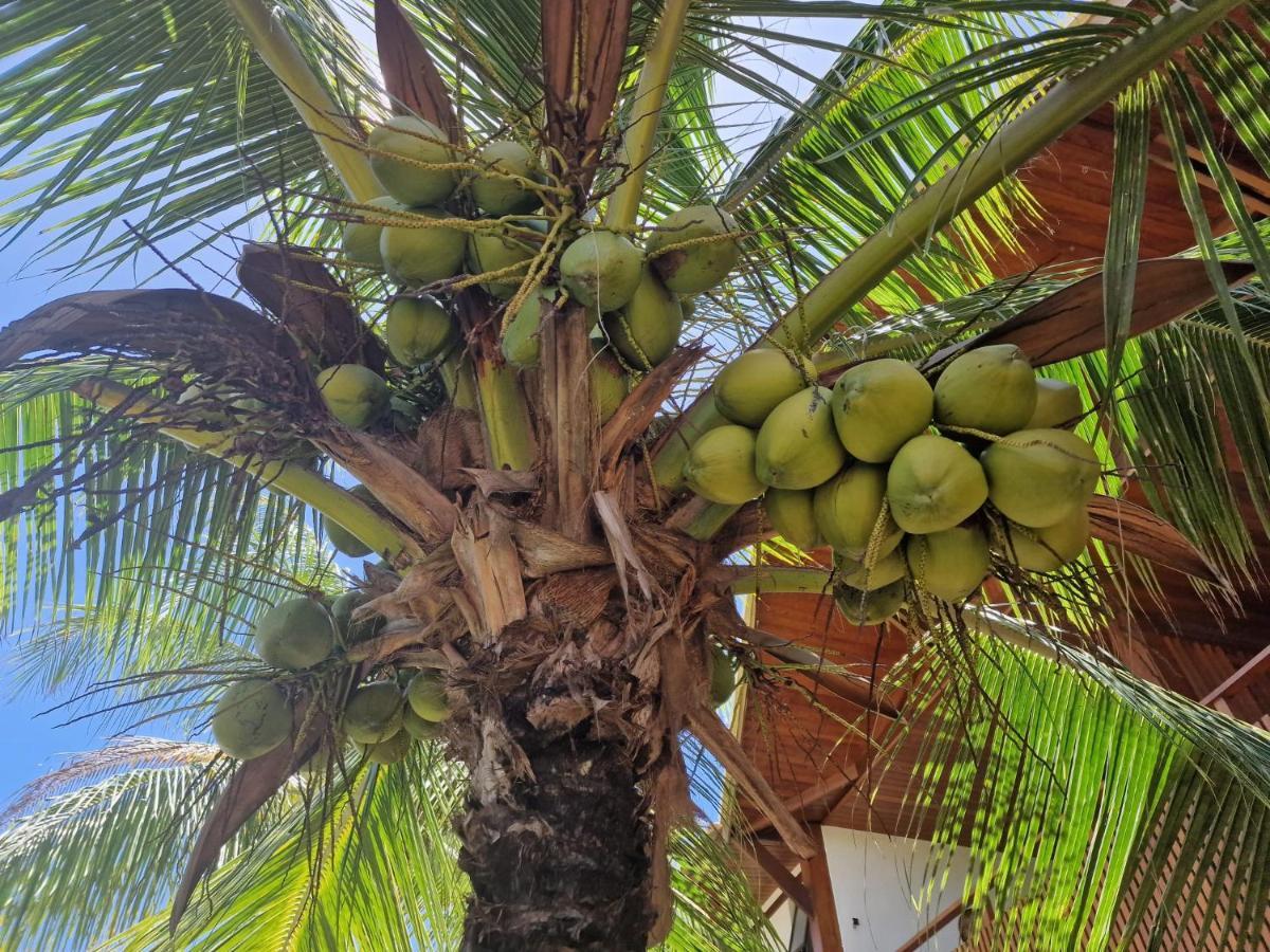 Praia De Itacimirim, Pé Na Areia Extérieur photo